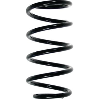 Spidan | Fahrwerksfeder | 49606