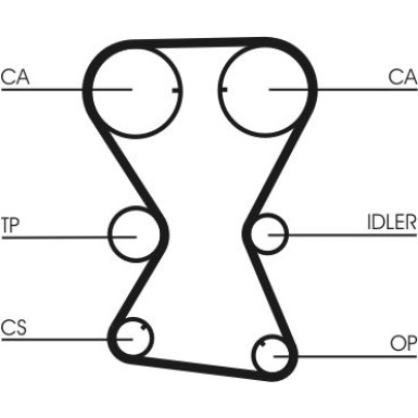 CT1000 Zahnriemen