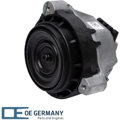 OE Germany | Lagerung, Motor | 801383