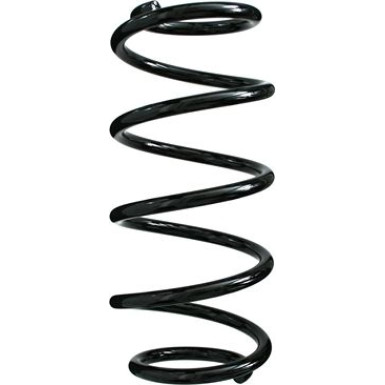 Spidan | Fahrwerksfeder | 49774