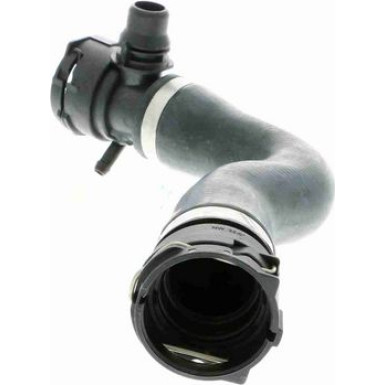 Vaico | Kühlerschlauch | V20-1301