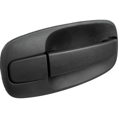 FEBI BILSTEIN 176969 Türaußengriff