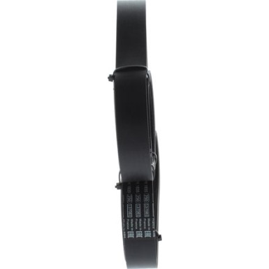 1 987 945 712 Keilrippenriemen