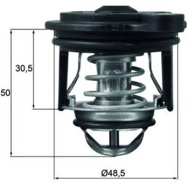 TI 246 50 Thermostat, Kühlmittel BEHR