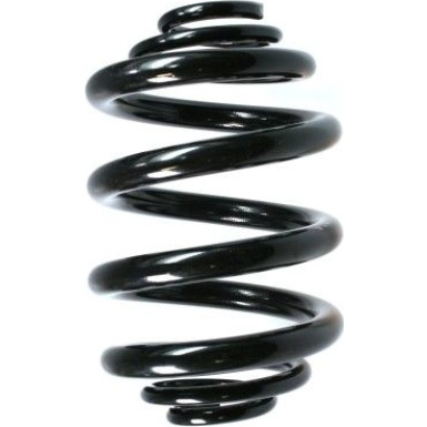 Spidan | Fahrwerksfeder | 49764