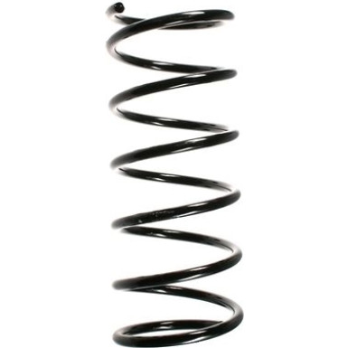 Spidan | Fahrwerksfeder | 55173