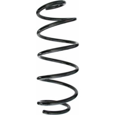 Spidan | Fahrwerksfeder | 49660