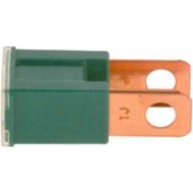 1 987 529 069 Sicherung 1 987 529 069 Sicherung