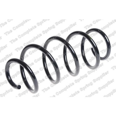 4095091 Fahrwerksfeder