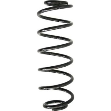 Spidan | Fahrwerksfeder | 55289