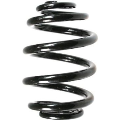 Spidan | Fahrwerksfeder | 55085
