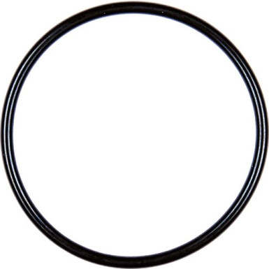 A2C59516938 Dichtung A2C59516938 Dichtung