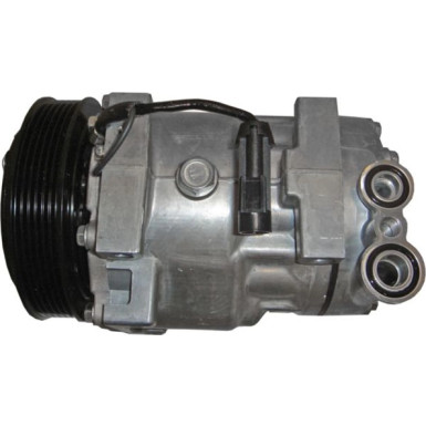 Mahle | Kompressor, Klimaanlage | ACP 1019 000S