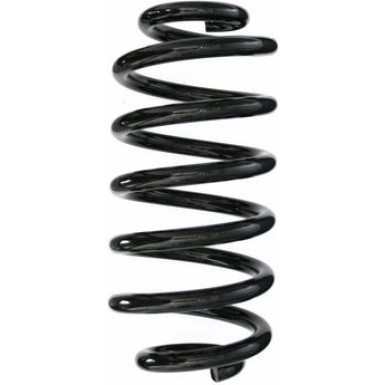 Spidan | Fahrwerksfeder | 87028