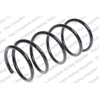 4062079 Fahrwerksfeder