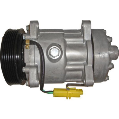 Mahle | Kompressor, Klimaanlage | ACP 29 000S