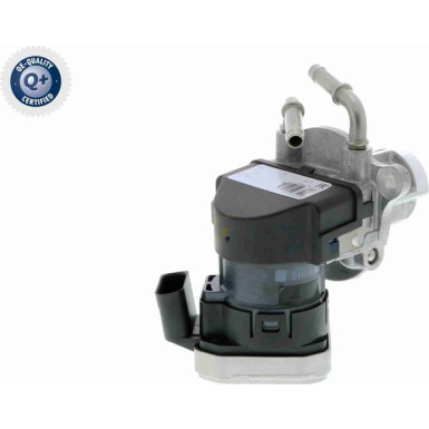 V30-63-0008 AGR-Ventil, Abgassteuerung Q+, Erstausrüsterqualität V30-63-0008 AGR-Ventil, Abgassteuerung Q+, Erstausrüsterqualität