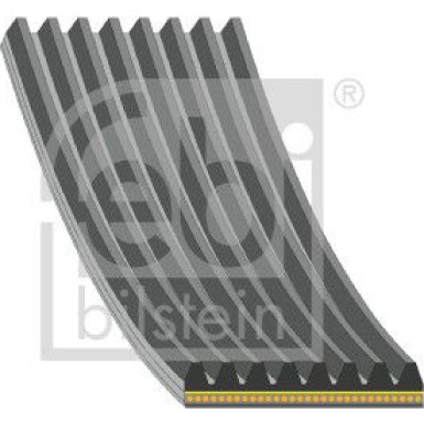 FEBI BILSTEIN 188462 Keilrippenriemen