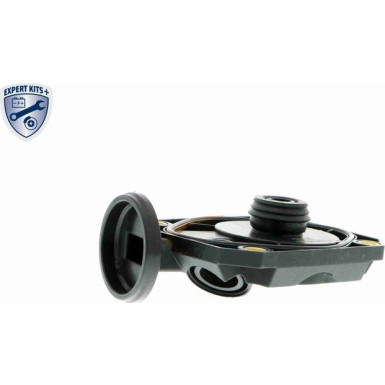 Vaico | Ventil, Kurbelgehäuseentlüftung | V20-1512 Vaico | Ventil, Kurbelgehäuseentlüftung | V20-1512