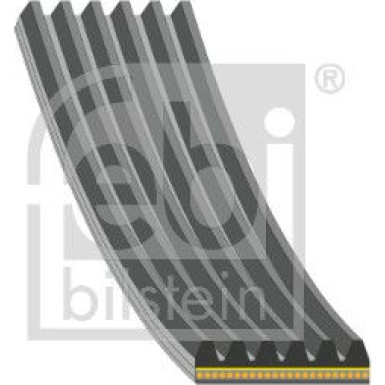 FEBI BILSTEIN 184954 Keilrippenriemen