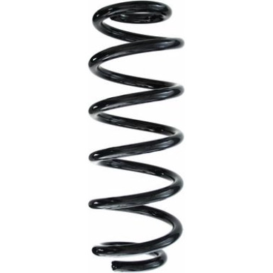 Spidan | Fahrwerksfeder | 87495
