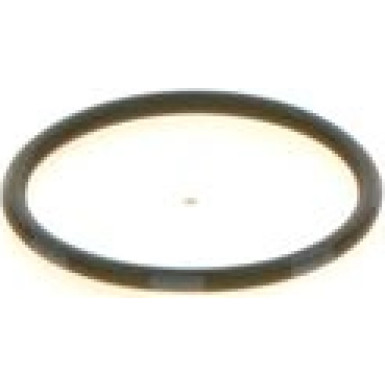 BOSCH | Dichtring | 1 410 257 029