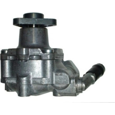 Spidan | Hydraulikpumpe, Lenkung | 54438
