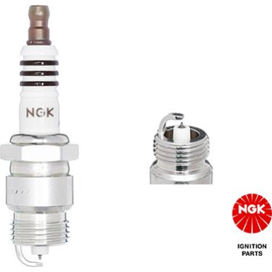 7510 Zündkerze Iridium IX