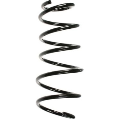Spidan | Fahrwerksfeder | 56036