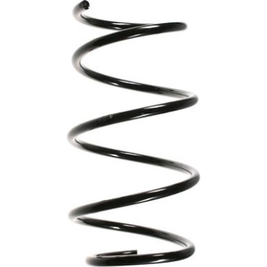 Spidan | Fahrwerksfeder | 49794