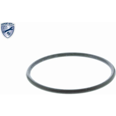 V15-99-1990 Thermostat, Kühlmittel EXPERT KITS +