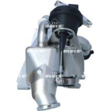 48402 Kühler, Abgasrückführung