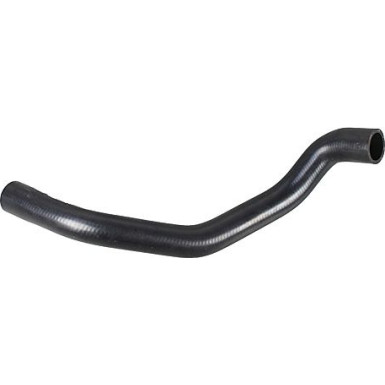 2420954 Kühlerschlauch