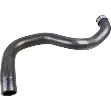 2420972 Kühlerschlauch