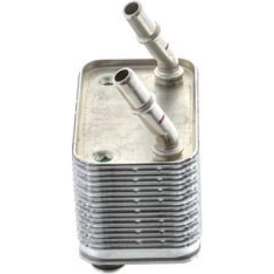 Mahle | Ölkühler, Motoröl | CLC 113 000P