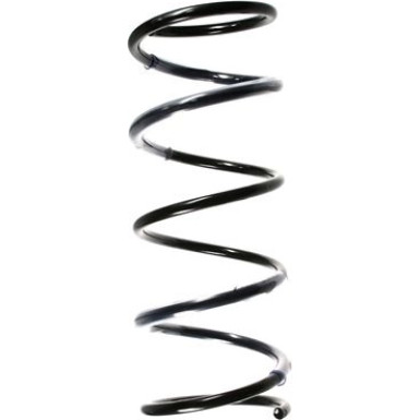 Spidan | Fahrwerksfeder | 55138