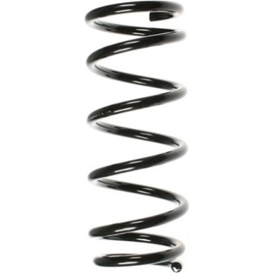 Spidan | Fahrwerksfeder | 55875