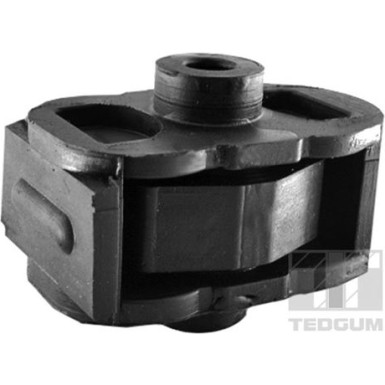 Tedgum | Lagerung, Motor | 00461559