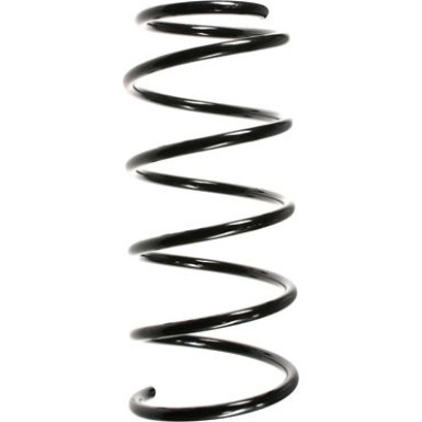 Spidan | Fahrwerksfeder | 49106
