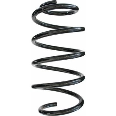 Spidan | Fahrwerksfeder | 87791
