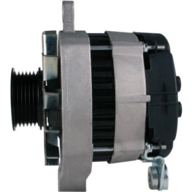 Hella | Generator | 8EL 012 428-891