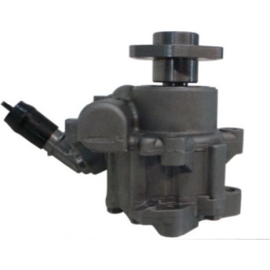 Spidan | Hydraulikpumpe, Lenkung | 54501