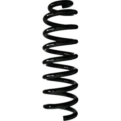 Spidan 2 x SPIDAN Fahrwerksfeder 88038