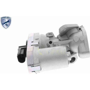 Vemo | AGR-Ventil | V24-63-0003