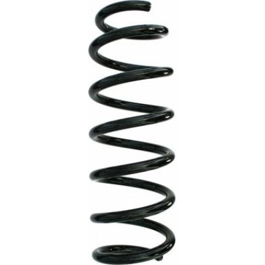 Spidan | Fahrwerksfeder | 87737