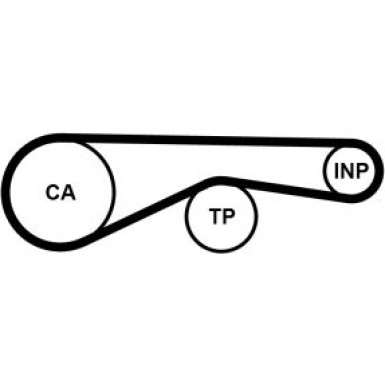 CT1194 Zahnriemen