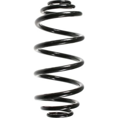 Spidan | Fahrwerksfeder | 55992