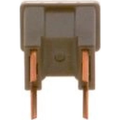 BOSCH | Sicherung | 1 987 529 072