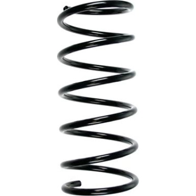 Spidan | Fahrwerksfeder | 55503