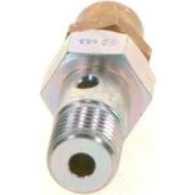 BOSCH | Ventil, Einspritzanlage | 1 417 413 049